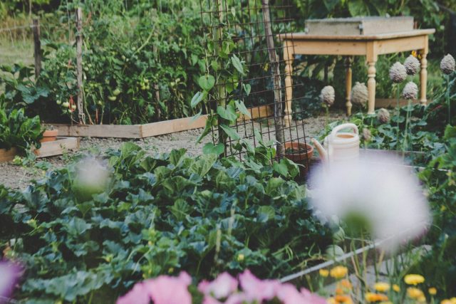 réussir son propre potager urbain